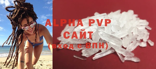 гашик Гусев