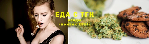 гашик Гусев