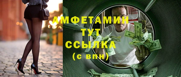 хмурый Гусь-Хрустальный