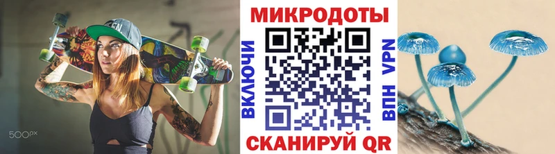 наркотики  Первоуральск  Галлюциногенные грибы Psilocybe 